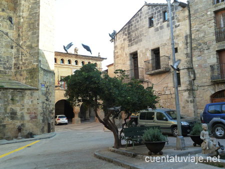 Horta de Sant Joan.